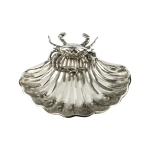 Muschelschale Ocean