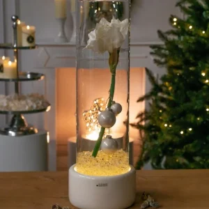 Tiziano Vase Bellagio XXL mit Led Beleuchtung