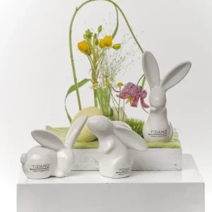 Tiziano Hase Felipe New schnuppernd