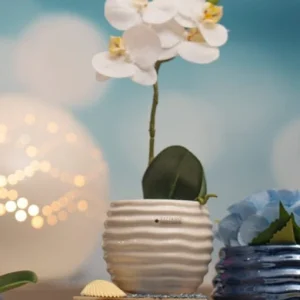 Tiziano Kübel Blumentopf Lerida weiß-creme